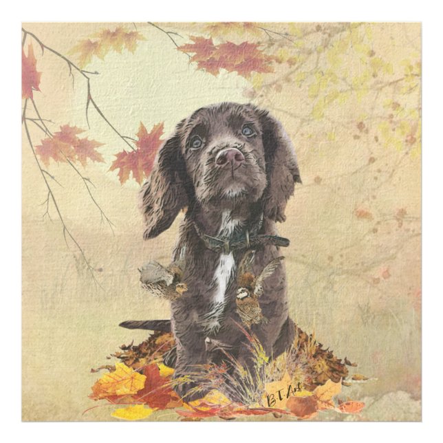 Choklad cocker spaniel valp   fototryck (Framsidan)