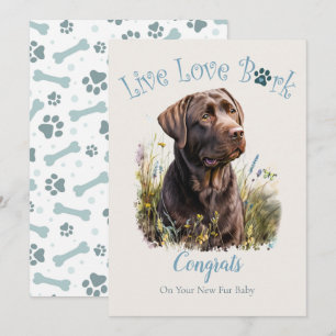 Choklad Lab Hund Adoption, Gotcha Day Kort