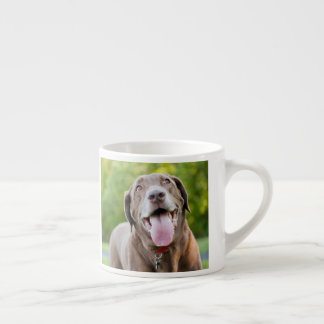 Choklad Lab-Hund Espressomugg
