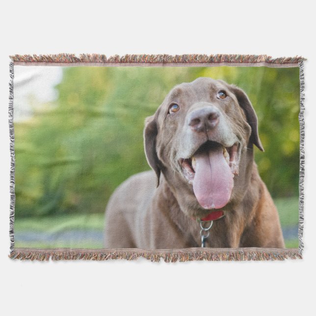 Choklad Lab-Hund Mysfilt (Framsidan)