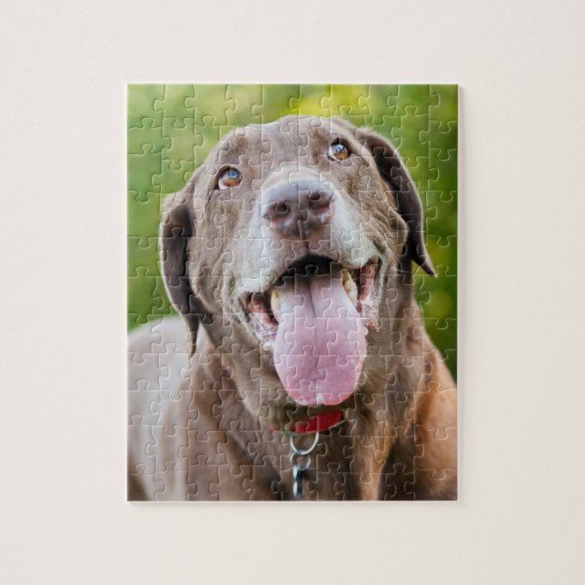 Choklad Lab-Hund Pussel (Vertikal)