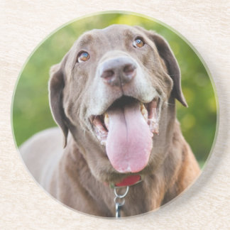 Choklad Lab-Hund Underlägg