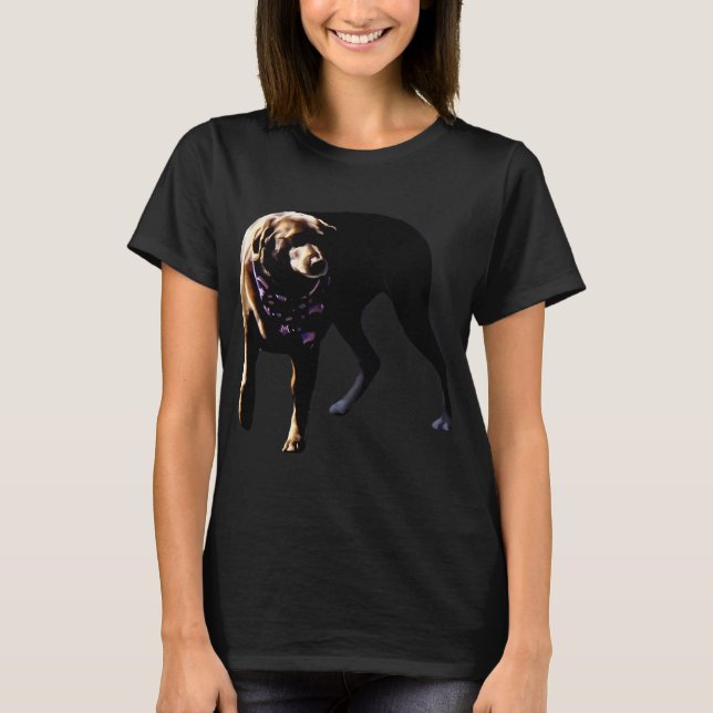 Choklad Lab T Shirt (Framsida)