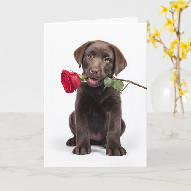 Choklad Lab Valentine Kort (Gul blomma)