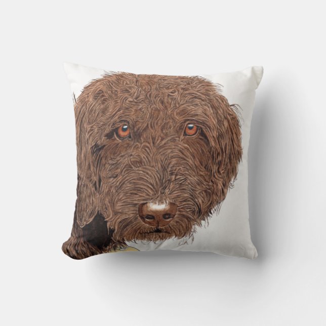 Choklad Labradoodle Kudde (Framsida)