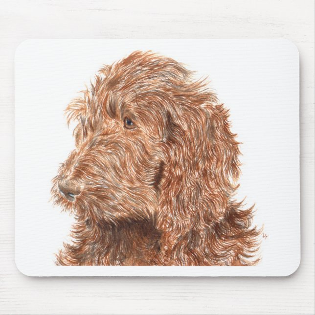 Choklad Labradoodle Musmatta (Framsidan)
