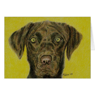 Choklad Labrador - Hershey Hälsningskort