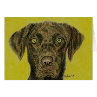 Choklad Labrador - Hershey Hälsningskort