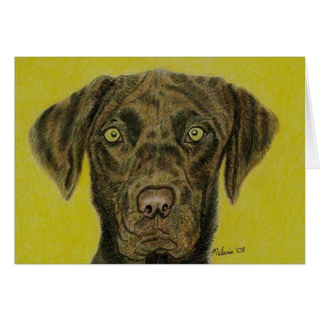 Choklad Labrador - Hershey Hälsningskort (Framsidan Horizontal)