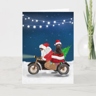 Choklad Labrador Hund Jul Tomte Kort