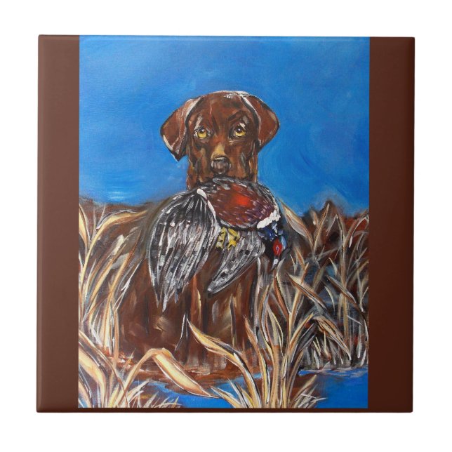 CHOKLAD LABRADOR KAKELPLATTA (Framsidan)