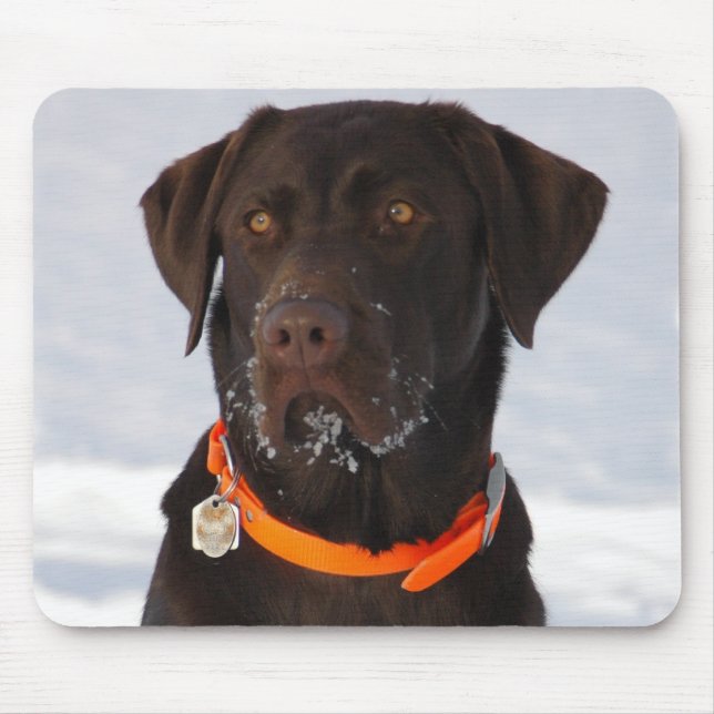 Choklad Labrador Mousepad Musmatta (Framsidan)