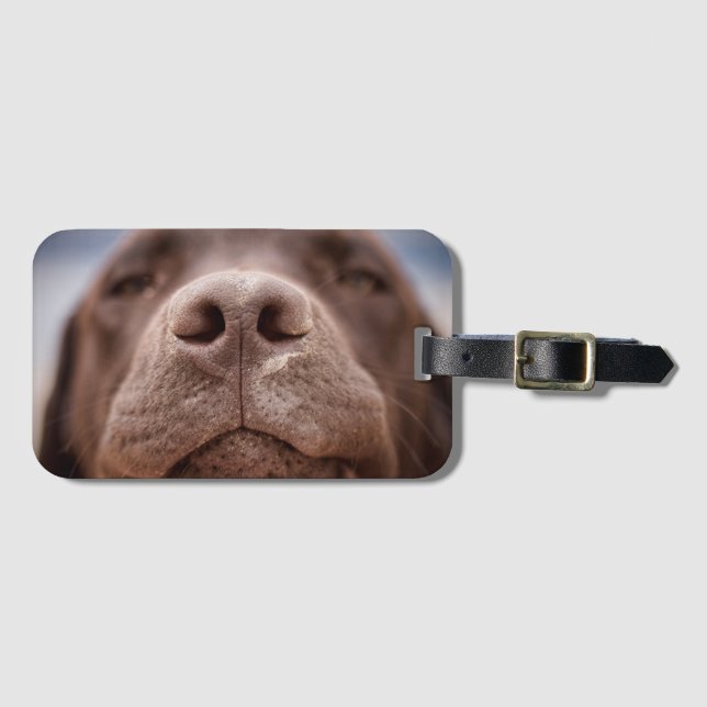 Choklad Labrador Nose Closeup Bagagebricka (Framsida horisontal)