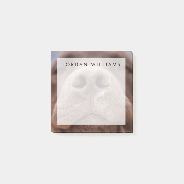 Choklad Labrador Nose Closeup Post-it Block (Framsida)