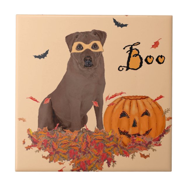 Choklad Labrador Retriever Boo! Kakelplatta (Framsidan)