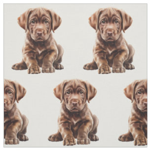 Choklad Labrador Retriever Hund Tyg