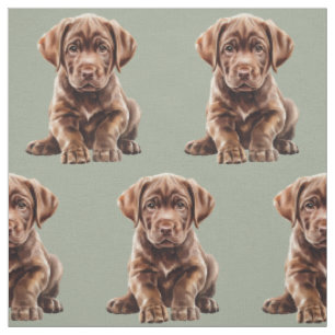Choklad Labrador Retriever Hund Tyg