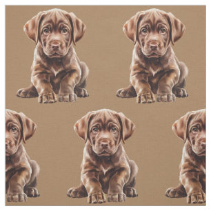 Choklad Labrador Retriever Hundtyg Tyg