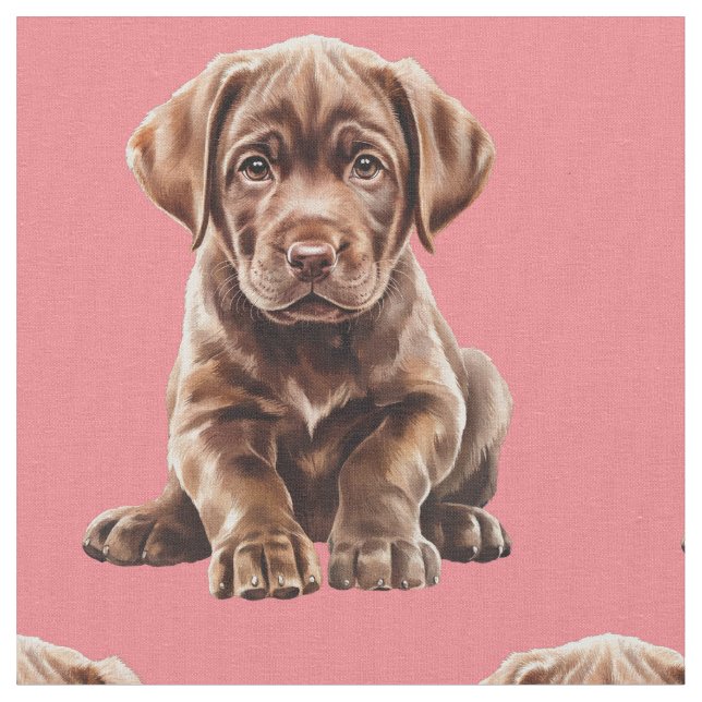 Choklad Labrador Retriever Hundvävnad Tyg (Närbild)