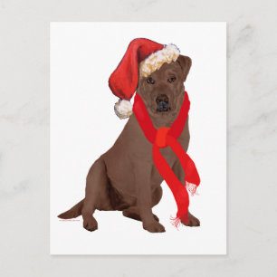 Choklad Labrador Retriever Jul Helg Vykort