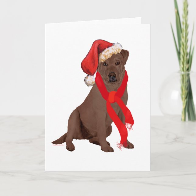 Choklad Labrador Retriever Jul Helgkort (Framsida)