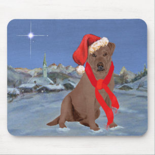 Choklad Labrador Retriever Jul Musmatta