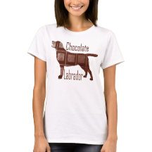 Choklad Labrador