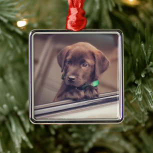 Choklad Labrador-valpen i bil Julgransprydnad Metall