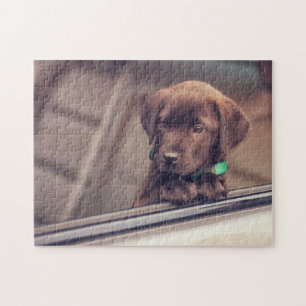 Choklad Labrador-valpen i bil Pussel