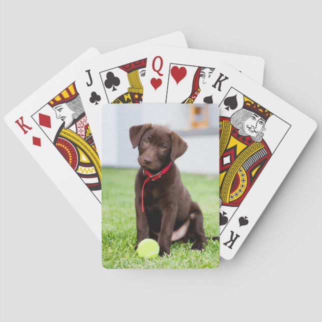 Choklad Labrador-valpen med tennis Boll Casinokort (Baksidan)