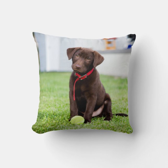 Choklad Labrador-valpen med tennis Boll Kudde (Framsida)