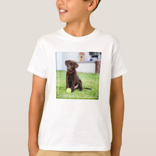 Choklad Labrador-valpen med tennis Boll T Shirt