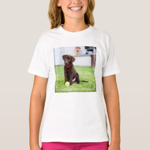 Choklad Labrador-valpen med tennis Boll T Shirt