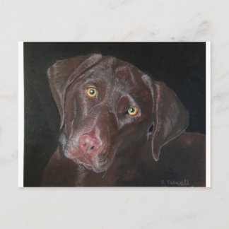 Choklad Labrador Vykort