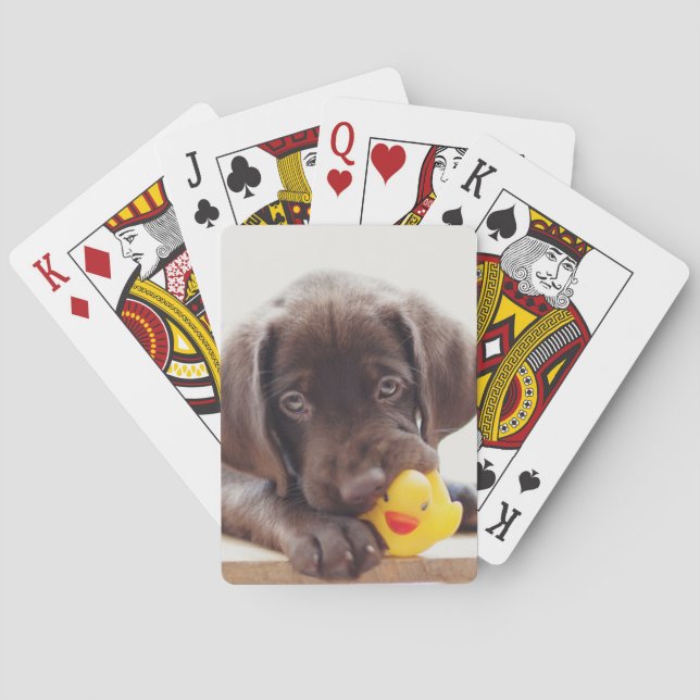 Choklad labradus valp med Leksak Anka Casinokort (Baksidan)