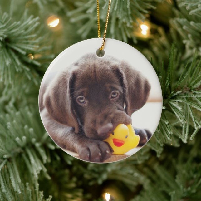 Choklad labradus valp med Leksak Anka Julgransprydnad Keramik (Träd)
