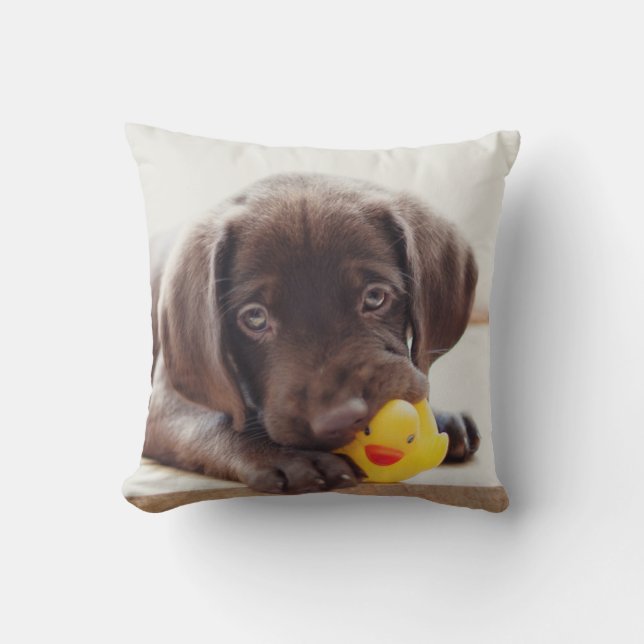 Choklad labradus valp med Leksak Anka Kudde (Framsida)