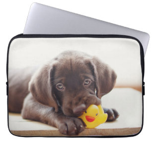 Choklad labradus valp med Leksak Anka Laptop Fodral
