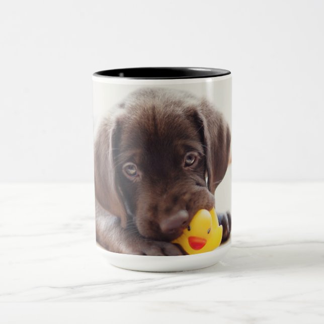 Choklad labradus valp med Leksak Anka Mugg (Center)