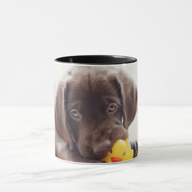 Choklad labradus valp med Leksak Anka Mugg (Center)