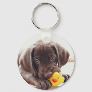 Choklad labradus valp med Leksak Anka Nyckelring