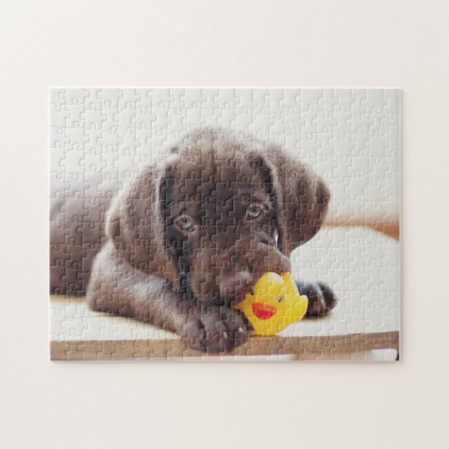 Choklad labradus valp med Leksak Anka Pussel (Horisontell)