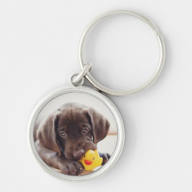 Choklad labradus valp med Leksak Anka Rund Silverfärgad Nyckelring (Framsidan)