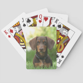Choklad och Tan Dachshund - Doxie Hund Casinokort