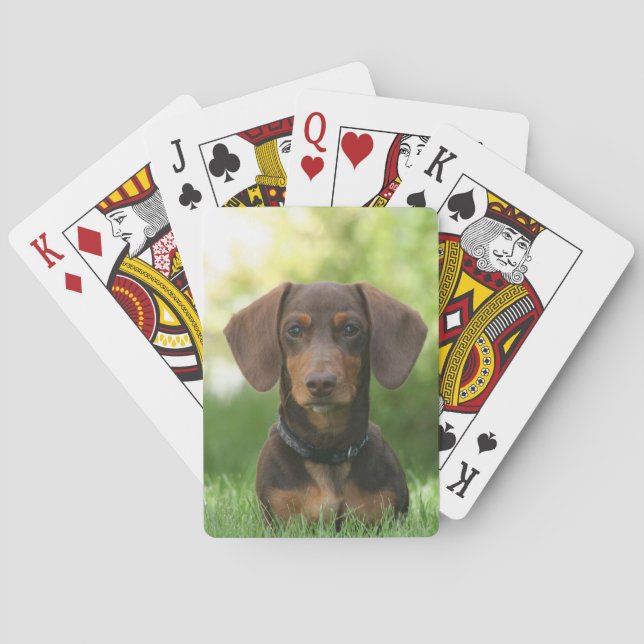 Choklad och Tan Dachshund - Doxie Hund Casinokort (Baksidan)