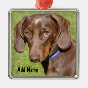 Choklad och Tan Dachshund - Doxie Julgransprydnad Metall