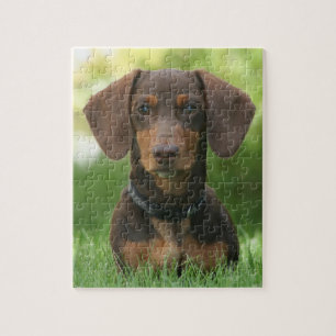 Choklad och tan Dachshund Pussel