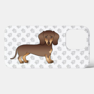 Choklad Och Tan Kort Här Dachshund & Tassar
