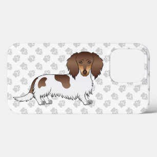 Choklad Och Tan Piebald Långhårig Dachshund Hund