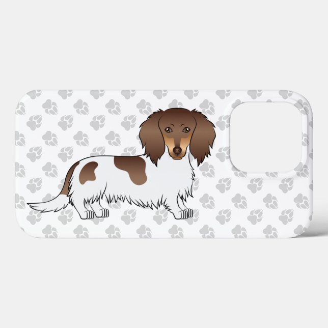 Choklad Och Tan Piebald Långhårig Dachshund Hund (Baksida (horisontell))
